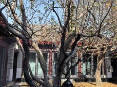 -京兆尹(雍和宫店)