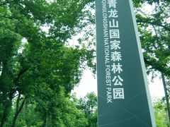-青龙山国家森林公园