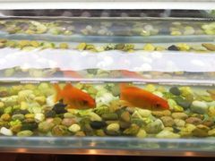 -黄鱼炙夜(华家池店)