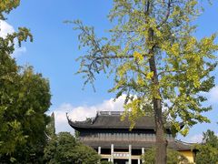 -红梅公园