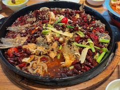 -老板恋上鱼(恒隆广场店)