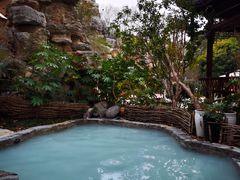 -深业半汤御泉庄温泉