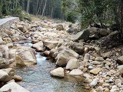 -姑婆山旅游区