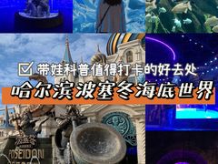 -哈尔滨波塞冬海底世界