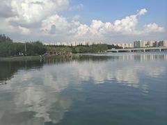 -丁香湖公园