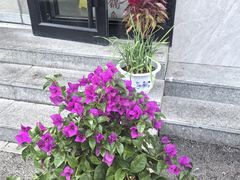 -巴乡石锅鱼(密云店)