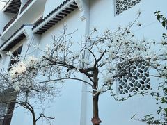 -苏州吴宫泛太平洋酒店
