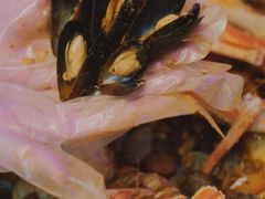 -The Boiling Crab宝灵蟹手抓海鲜(中国首店)