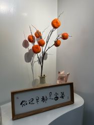 -DELAVAY黛乐薇抗衰中心