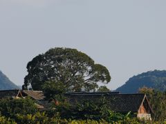 -马岭河峡谷风景区