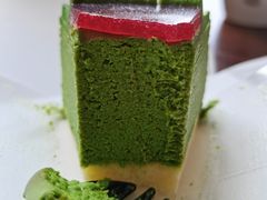-华丰贺氏(营迹店)