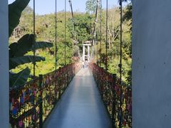 -西双版纳原始森林公园