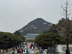-景福宫