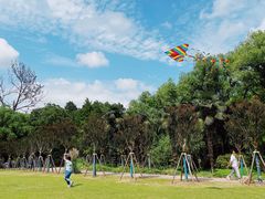 -上海共青森林公园