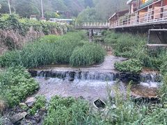 -Local泰莲庭(虹鳟鱼店)