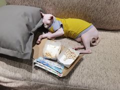 -藏猫猫咖啡主题馆(中央大道店)