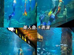 -锦艺城海洋馆