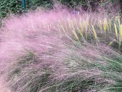 -郑州方特梦幻王国