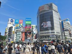 -涩谷全向十字路口