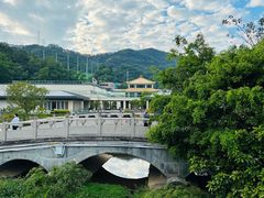 -银湖山郊野公园-相思林