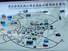 -武陵山森林公园