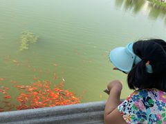 -西海子公园