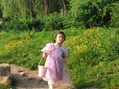 -丁香湖公园