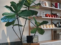 -the fall kaffe乐否咖啡