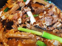 红焖温泉乡鹅-昌隆•家家鹅乡•海南菜老字号(琼海店)
