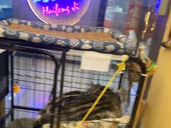-谜盒子奇幻密室(南屏店)