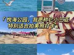 -悦海公园