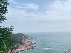 -广东惠东海龟国家级自然保护区