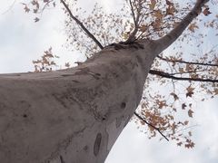 -东湖磨山景区