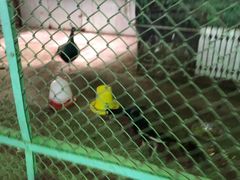 -哈尔滨北方森林动物园