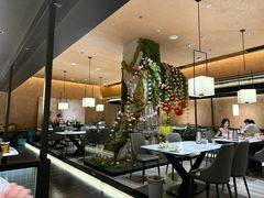 -阿露佳·舌尖上的安吉菜