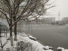 -大兴滨河森林公园