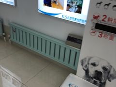 -北京观赏动物医院·24小时大型综合·猫专科·异宠专科