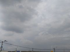 -胜华驾校·小猫学车(银都店)