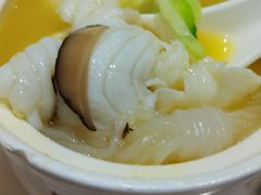 -港升鱼师傅·中山脆肉鲩