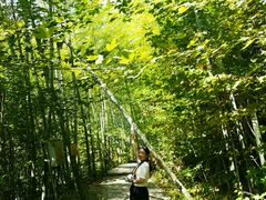 -罗田薄刀峰风景区