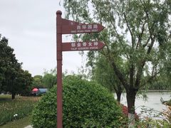 -上海鲜花港