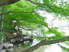 -杭州植物园