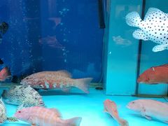 -金悦轩海鲜酒家(银河店)