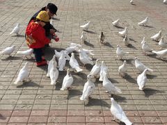 -满都海公园