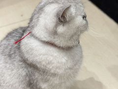 -Oasis绿洲银饰珍珠手作diy(壹方城店)