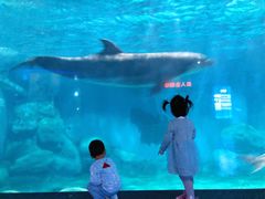 -福州罗源湾海洋世界旅游区