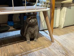 -小时光咖啡馆(开森度假森林店)