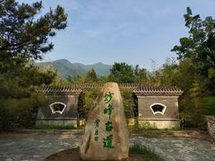 -阳台山自然风景区