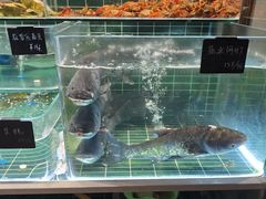 -明丰小渔馆(明月路店)