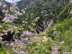 -黑龙潭风景区